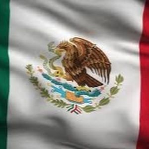 Meet your Posher, Aileen